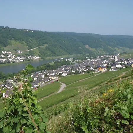 Pensionat Weingut Stiftshof *