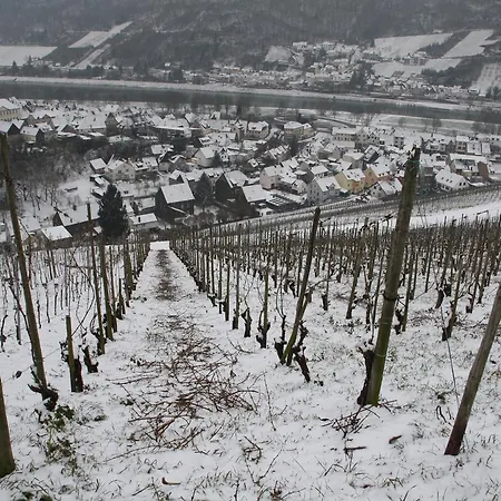 Weingut Stiftshof בית הארחה