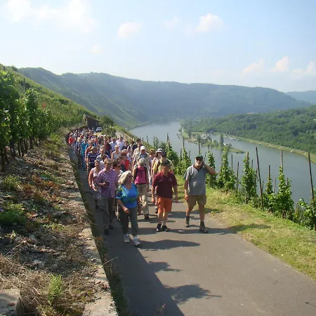 Weingut Stiftshof בית הארחה אנקירך