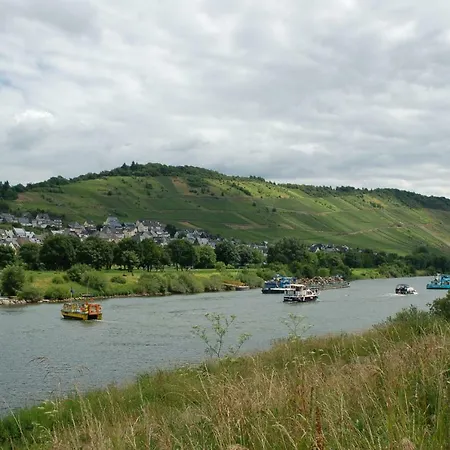 怀格史蒂夫斯霍夫宾馆 招待所 恩克里克