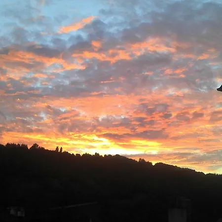 招待所 怀格史蒂夫斯霍夫宾馆 4*