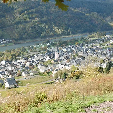 怀格史蒂夫斯霍夫宾馆 4* 恩克里克