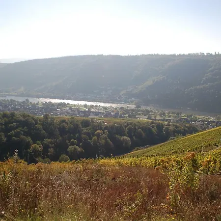 Weingut Stiftshof בית הארחה אנקירך