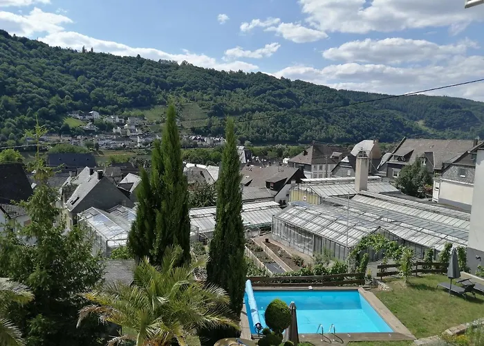 ゲストハウス Weingut Stiftshof エンキルヒ