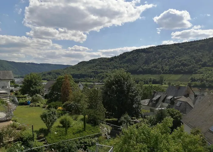 ゲストハウス Weingut Stiftshof エンキルヒ