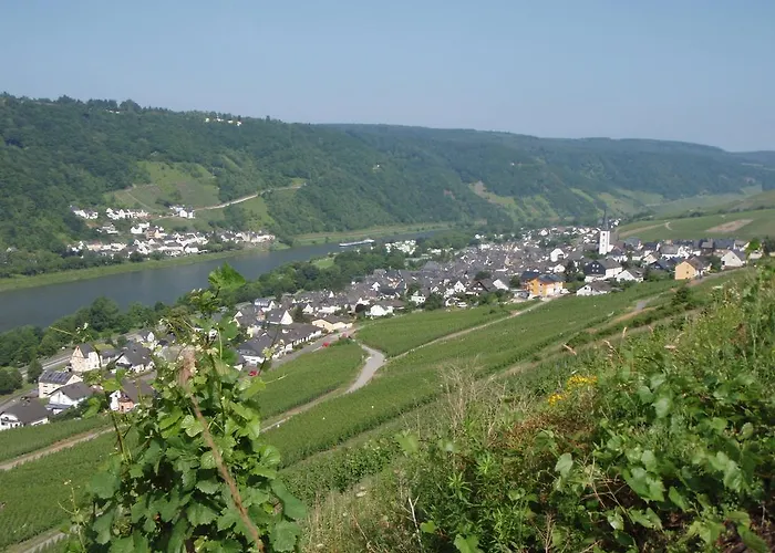 ゲストハウス Weingut Stiftshof 4*