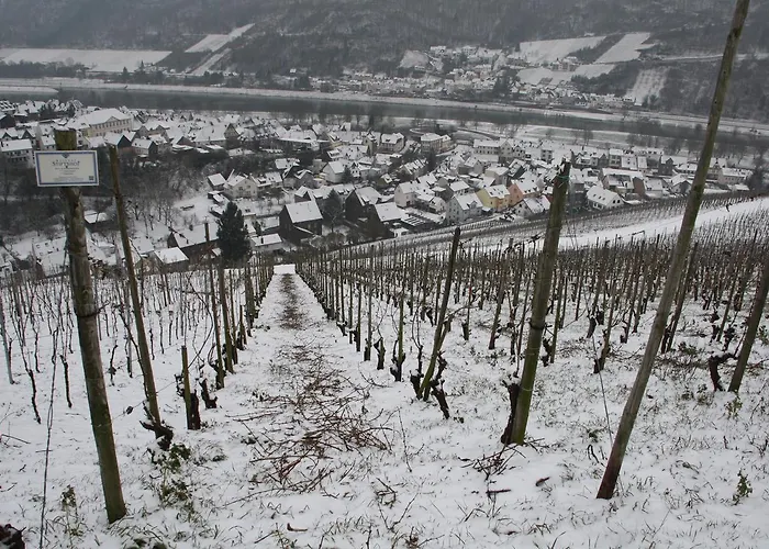 Weingut Stiftshof ゲストハウス