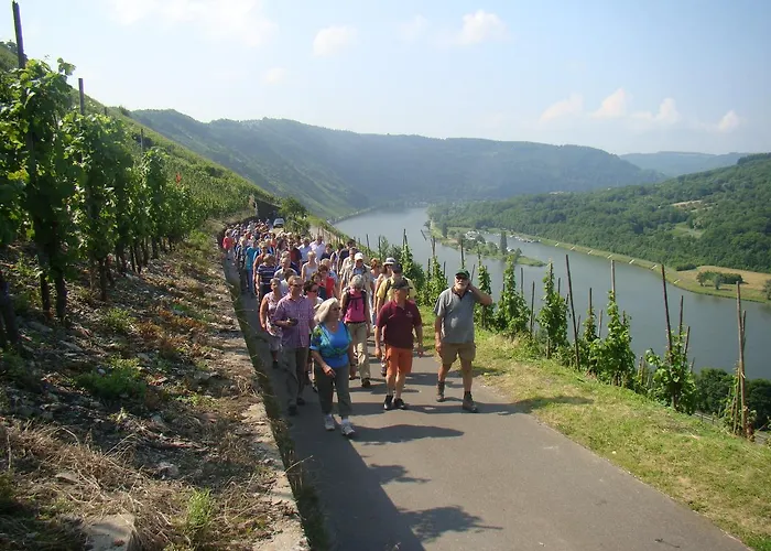 Weingut Stiftshof ゲストハウス エンキルヒ