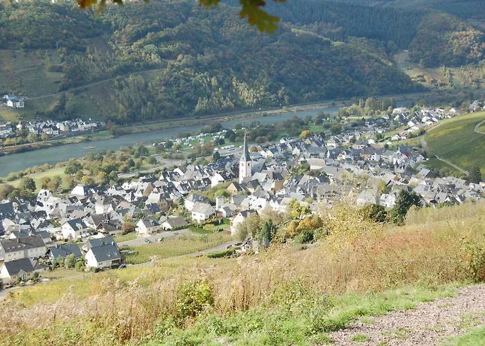 Weingut Stiftshof 4* エンキルヒ