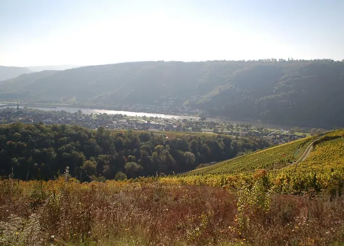 Weingut Stiftshof ゲストハウス エンキルヒ